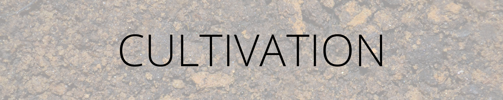 Cultivation Banner