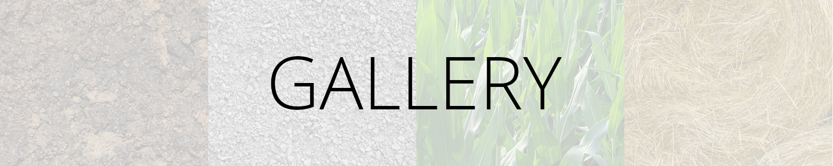 Gallery Banner