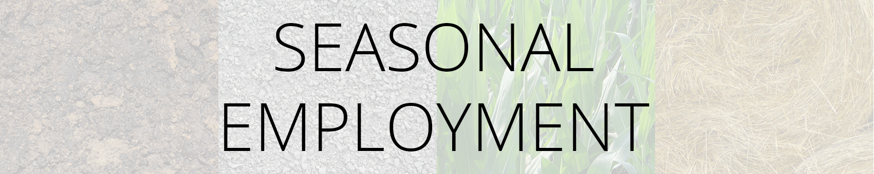 Seasnal Employment Banner