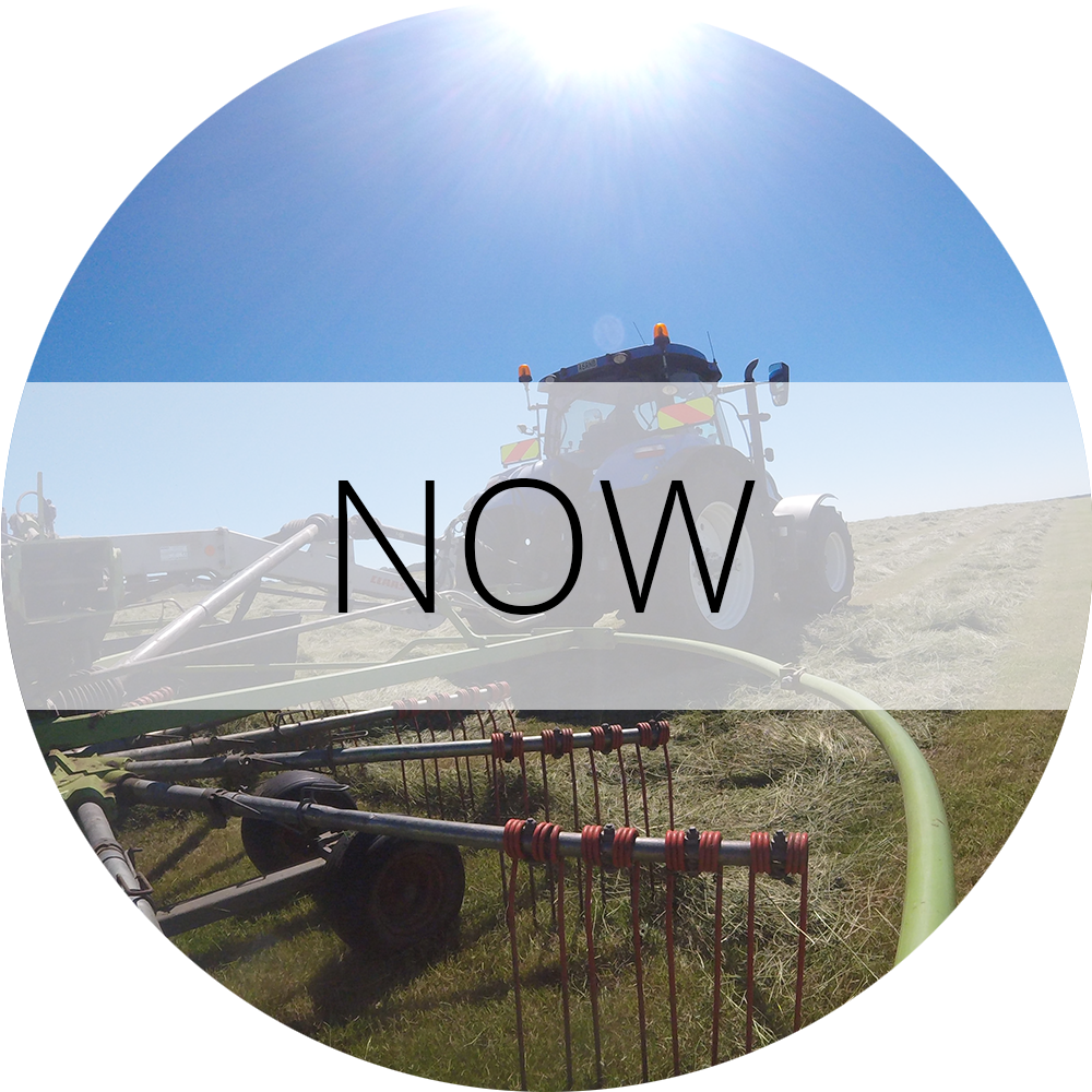 Now Gallery Label