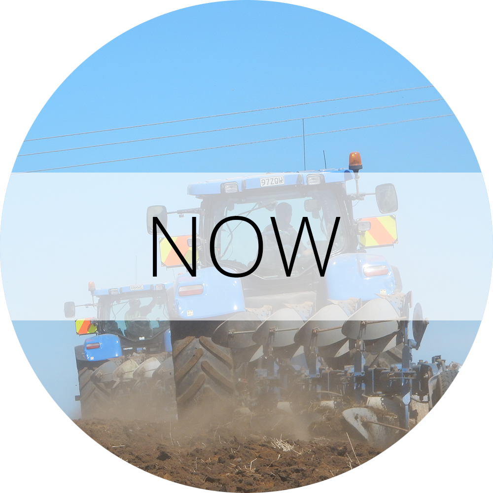 Now Gallery Label