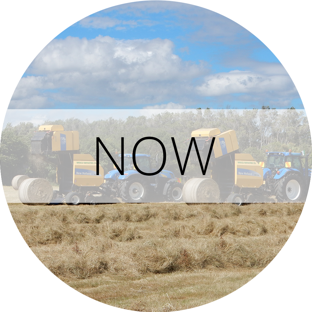 Now Gallery Label