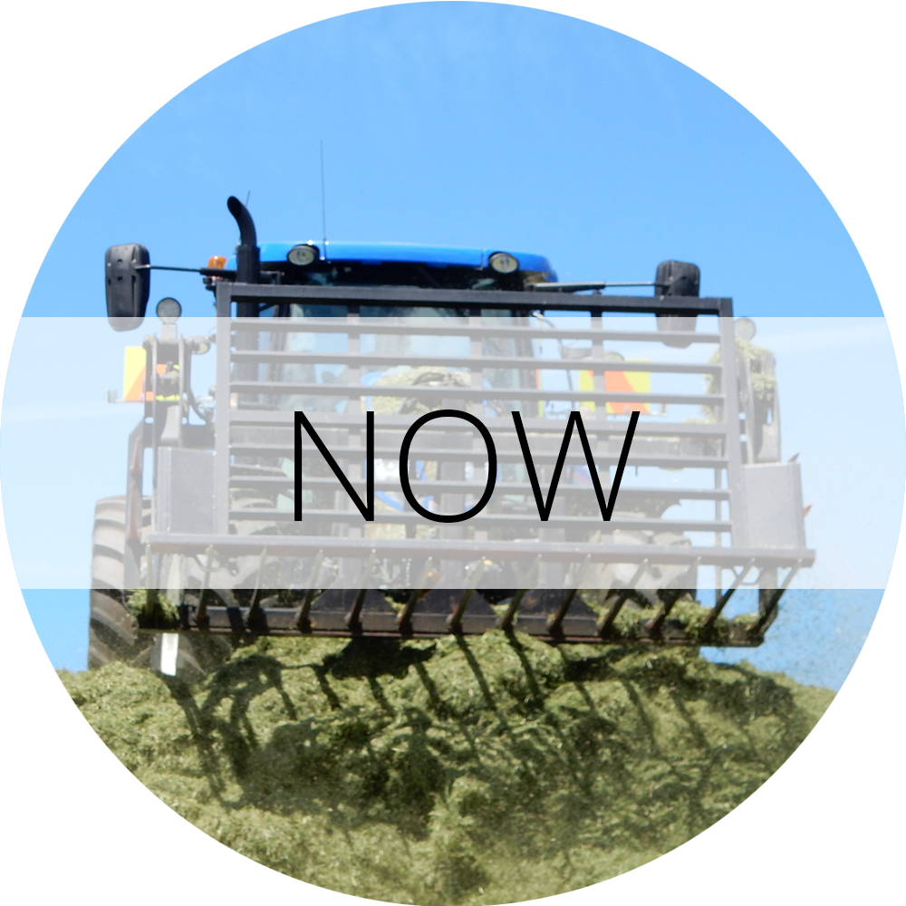 Now Gallery Label
