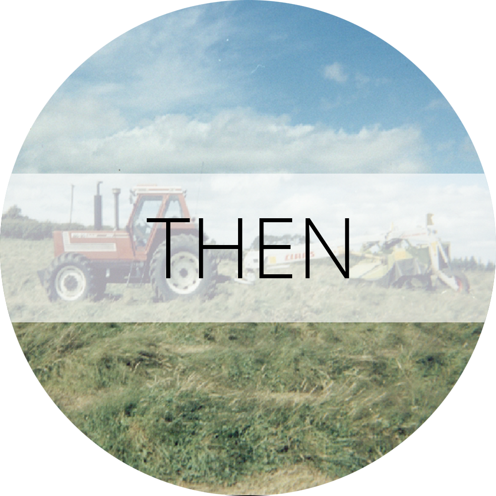 Then Gallery Label