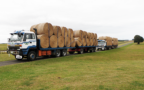 Truck Loaded with Hay Bales