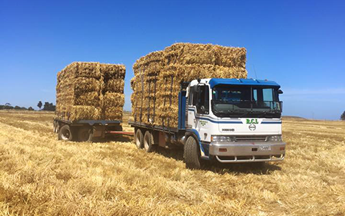 Truck Loaded with Straw Bales