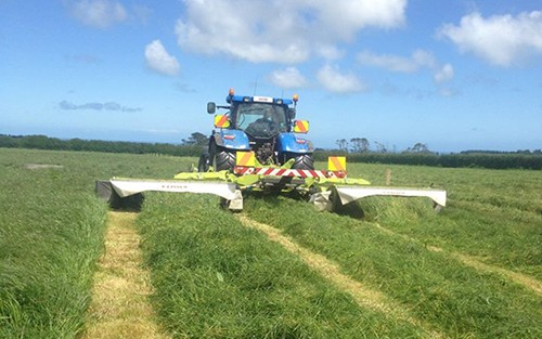 Mowing
