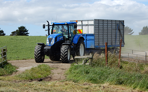Bin Trailers & Trucks Carting Silage