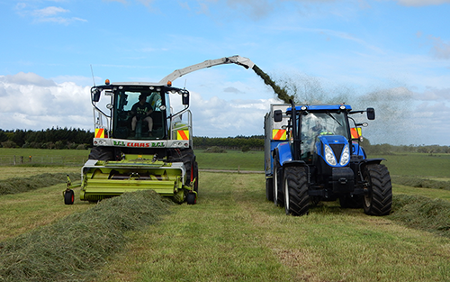 Silage Harvesting with Forage Harvesters