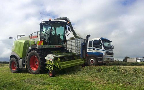 Silage Harvesting with Forage Harvesters