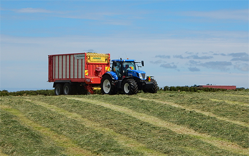 Silage Harvesting with Loader Wagons