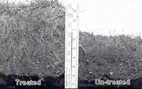 Soil Aerator