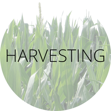 RCL Harvesting Label