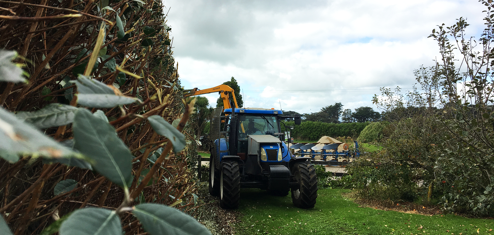 RCL Harvesting