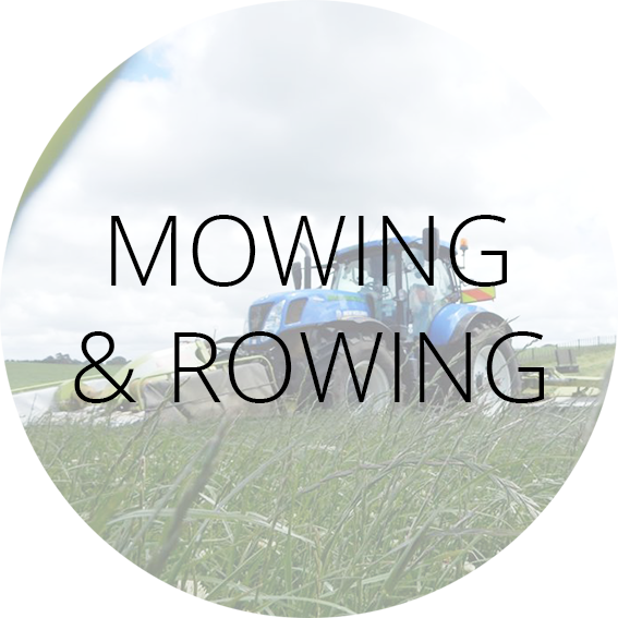 Mowing & Rowing Label