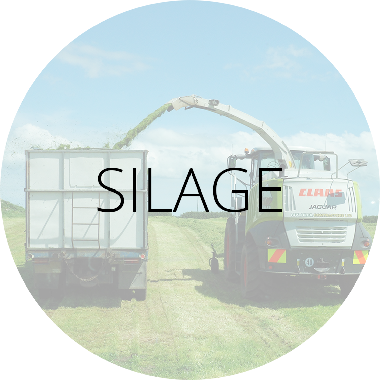 Silage Label
